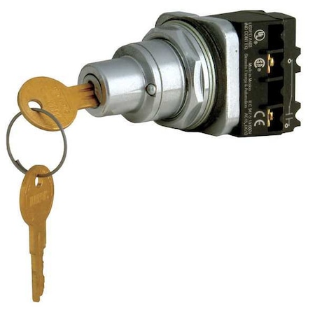 Non-Illum Selector Switch,1NO,Chrome,2P