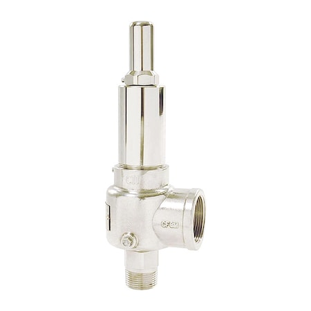 POP Safety Valve,1/2 x 3/4 In,125 psi