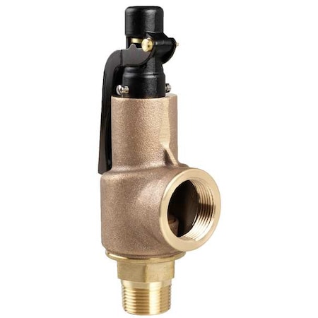 Safety Relief Valve,1 x 1-1/4 In,125 psi