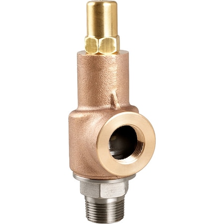 Adjustable Relief Valve,1 In,100 psi