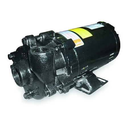 Cast Iron 1 HP Centrifugal Pump 208-230/460V