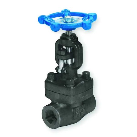 Globe Valve,Class 800,1-1/2 In.,FNPT