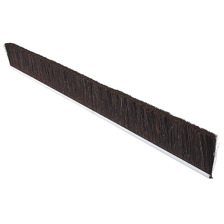 Strip Brush,72 In L,Overall Trim 2 In