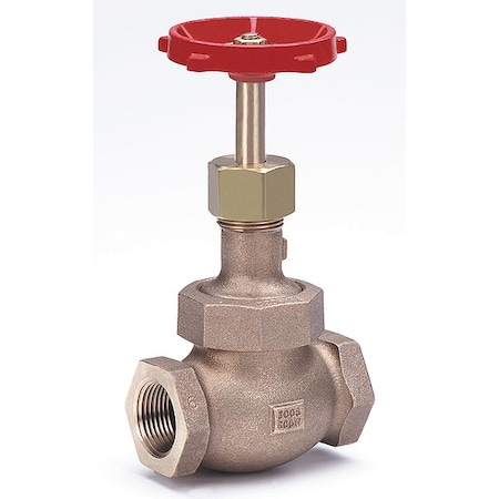 Globe Valve,Class 300,1/2 In.