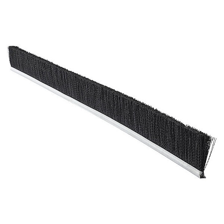 Strip Brush,36 In L,Overall Trim 2 In