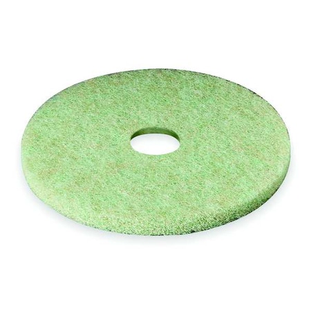 Preburnishing Pad,13 In,Green,PK5