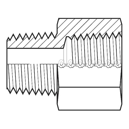 Hose Adapter,1/4",BSPT,1/4",NPT