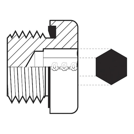 Hose Adapter,3/8",BSPP