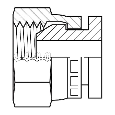 Hose Adapter,5/8",BSPP