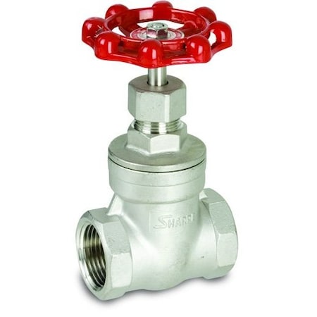 Gate Valve,3/4",316 SS,NPT