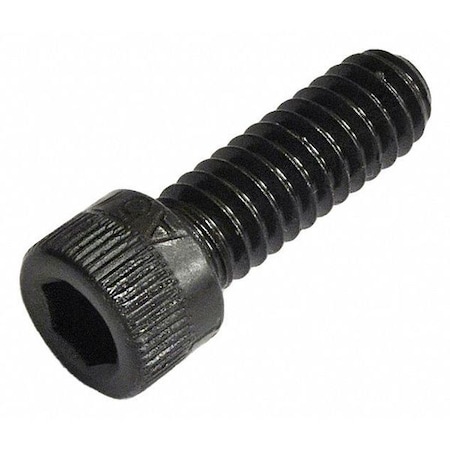 5/16"-18 Socket Head Cap Screw, Socket, Black Oxide Alloy Steel, 1 in Length, 100 PK