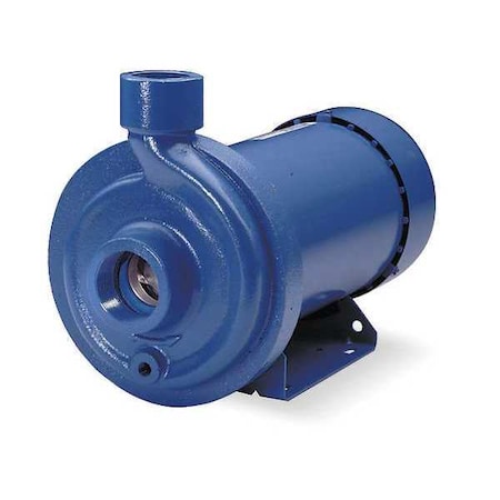 Stainless Steel 2 HP Centrifugal Pump 115/230V