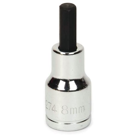 1/2" Dr, 19mm Size, Metric Hex Bit Socket, 6 Pts